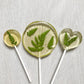 Leaf Lollipops-Emily's Lollies-Small Round-None-No Text-Emily's Lollies