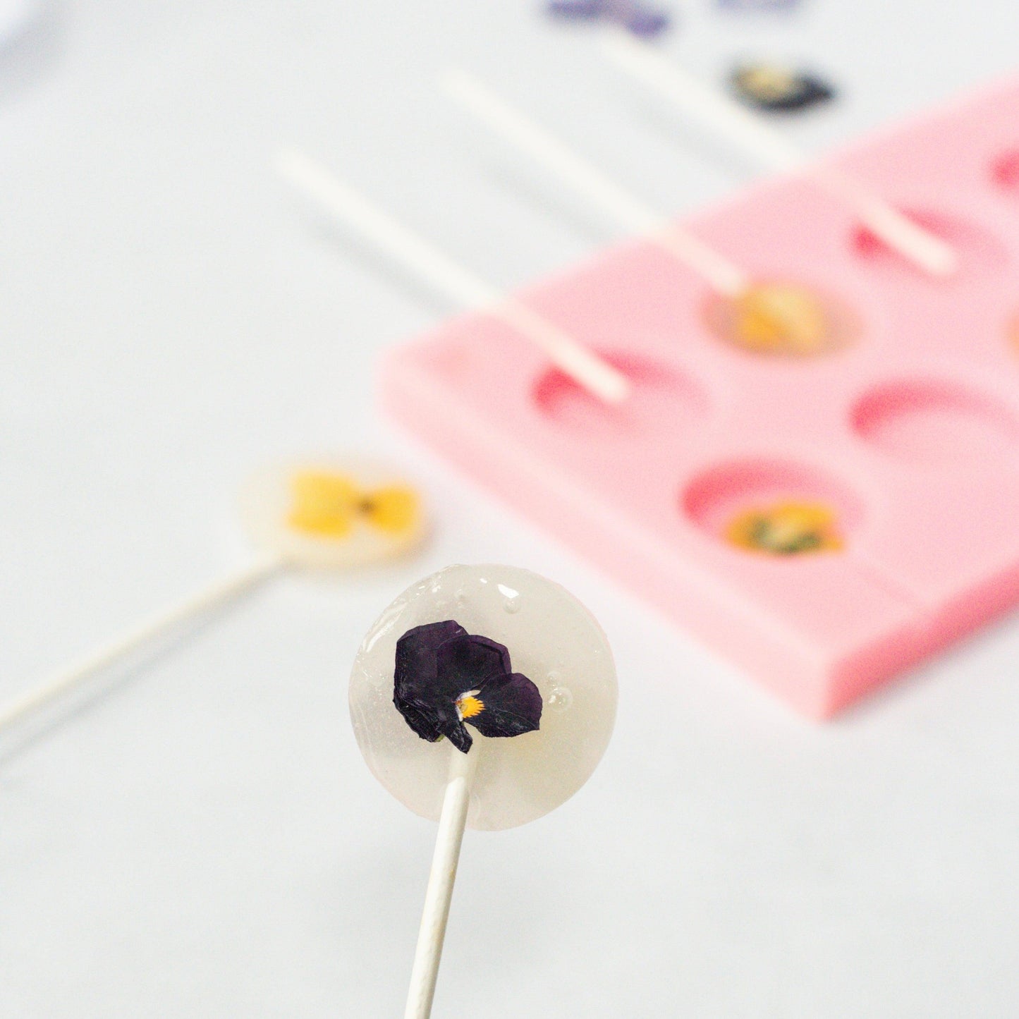 Wedding Favour Lollipop Making Kit